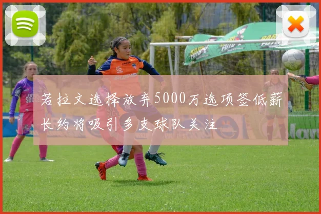 若拉文选择放弃5000万选项签低薪长约将吸引多支球队关注